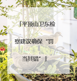 平顶山卫东检察建议确保“罚当其错”
